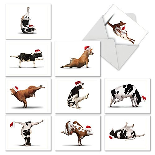 M6545XSB Holiday Bovine Nirvana: 10 Assorted Blank Christmas Note Cards Featuring Fun and Flexible Cows Practicing Yoga Poses While Wearing Christmas Hats, w/White Envelopes.
