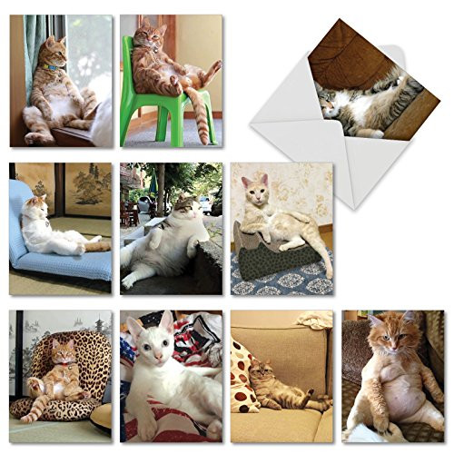 Sitting Pretty Kitties: 10 Assorted Blank All-Occasion Note Cards Featuring Images of Funny Felines Sitting in Human-like Positions w/White Envelopes. M4613OCB-B1x10