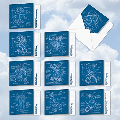 AMQ5650OCB-B1x10 Floral Blueprints: 10 Assorted Set of Blank New 'Square-Top' Notecards Featuring Images of Intricately Drawn Flower Blueprints, with Envelopes