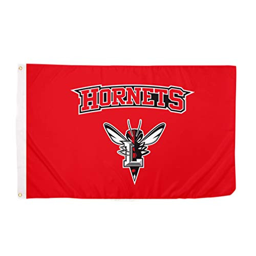 Desert Cactus University of Lynchburg NCAA 100 Polyester Indoor Outdoor 3 feet x 5 feet Flag Style 2a