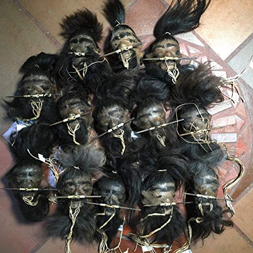 Daprofe Shrunken Head Includes One1 4 Inch Black Haired Head Similar to Those Shown in Photo