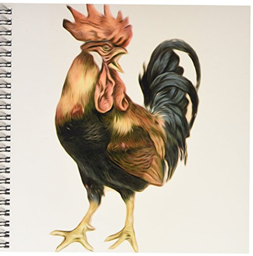 3dRose db-119023-1 Vintage Antique Bird Illustration Cock Rooster Chicken Drawing Book 8 by 8-Inch