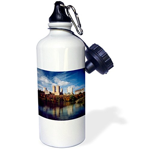 3dRose USA New York City Central Park Lake and Buildings_ -Sports Water Bottle 21oz  21 oz Multicolor