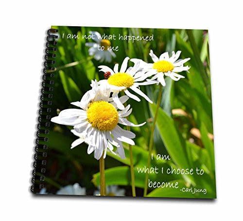 3dRose db-23664-1 Inspirational Daisies and Ladybug Drawing Book 8 by 8-Inch