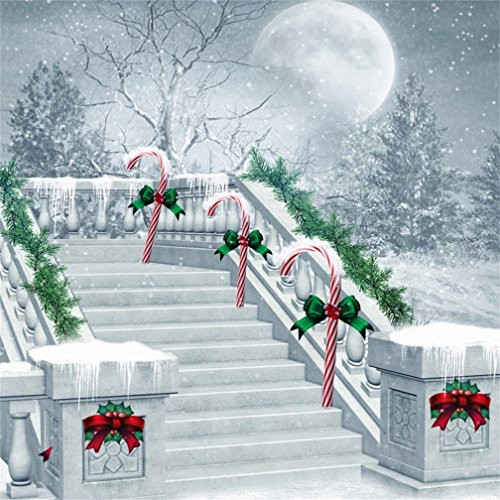 AOFOTO 5x5ft Fairy Tale Forest Winter Christmas Backdrop White Snowscape Moon Night Candy Cane Snow Stairway Photography Background Xmas Party Decoration 2019 New Year Photo Studio Props Vinyl
