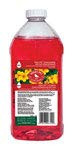 Perky-Pet 255 Hummingbird Nectar Concentrate 64 oz Red 2