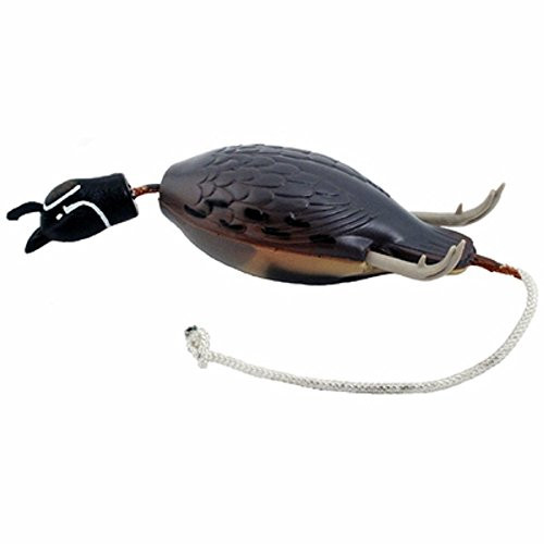 Dokken Dead Fowl Gambrels Quail Hunting Dog Retriever Trainer