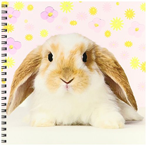 3dRose db-4802-1 Rabbit Drawing Book 8 by 8-Inch