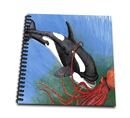 3dRose db-171377-1 Illustration of a Killer Whale Attacking an Octopus Drawing Book 8 by 8-Inch
