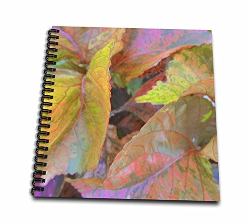 3dRose db-25317-1 Natures Twist of Color II-Drawing Book 8 by 8-Inch