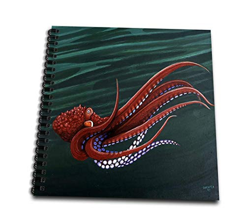 3dRose db-3218-1 Octopus-Drawing Book 8 by 8-Inch