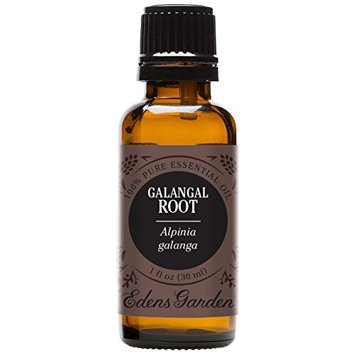 Edens Garden Galangal Root Essential Oil 100 Pure Therapeutic Grade Cold Flu Sleep 30 ml Edens Garden Galangal Root Essential Oil 100 Pure Therapeutic Grade Cold Flu Sleep 30 ml