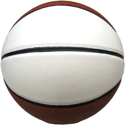 Baden Official Two Panel Autograph Basketball 29_5-Inch