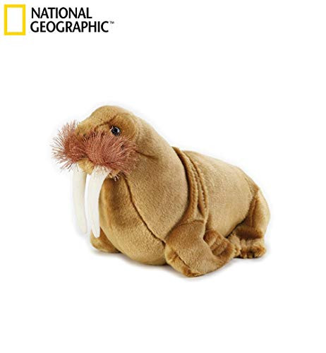 NATIONAL GEOGRAPHIC Walrus Plush - Medium Size