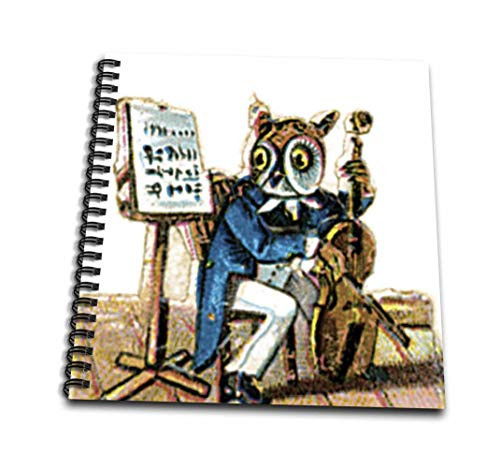 3dRose db-165416-1 Owl Musician Drawing Book 8 by 8-Inch