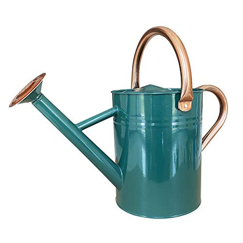SunnyTong Galvanized Steel Watering Can Metal Watering Can for Outdoor Plants with Copper Accents 1 Gallon Green