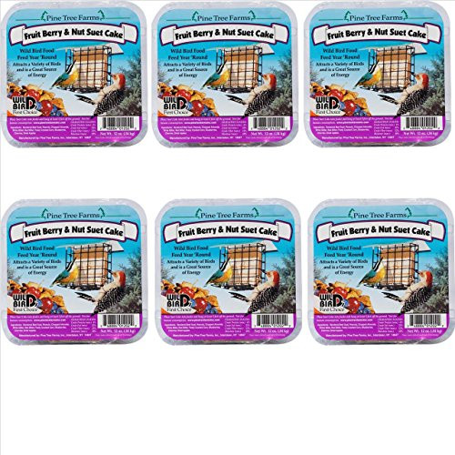 Pine Tree Farms Fruit Berry   Nut Suet Cake 12 oz_ 1202 Made in USA 6