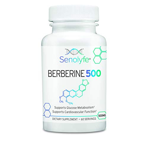 Berberine 500  500mg of 97 Berberine HCL - Glucose Metabolism Cardiovascular Function   AMPK Activator - Anti-Aging   Longevity Support - 60 Servings