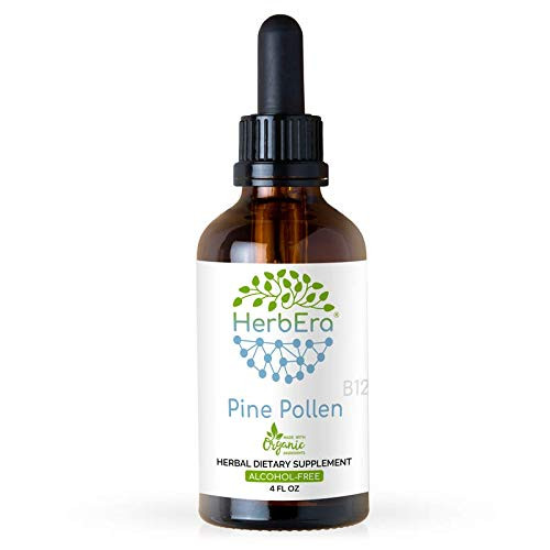 Pine Pollen B120 Alcohol-Free Herbal Extract Tincture Super-Concentrated Song Hua Fen Scots Pine Pinus Sylvestris 4 fl oz