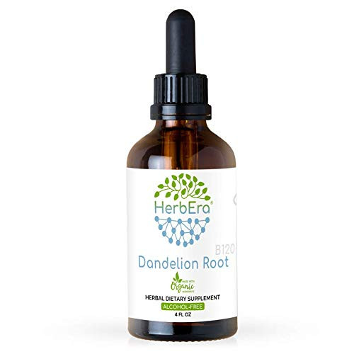Dandelion Root B120 Alcohol-Free Herbal Extract Tincture Super-Concentrated Organic Dandelion Taraxacum Officinale Dried Root 4 fl oz