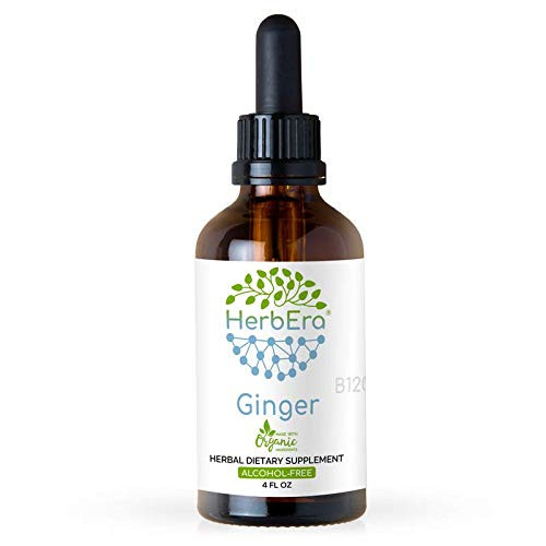 Ginger B120 Alcohol-Free Herbal Extract Tincture Super-Concentrated Organic Ginger Zingiber officinale 4 fl oz