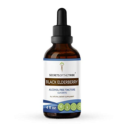 Black Elderberry Alcohol-Free Liquid Extract Organic Black Elderberry Sambucus Nigra Dried Berry Tincture Supplement 4 FL OZ