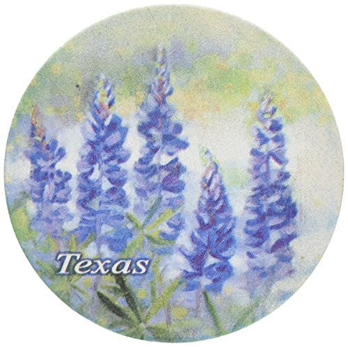 Thirstystone Stoneware Texas Bluebonnet Coaster, Multicolor