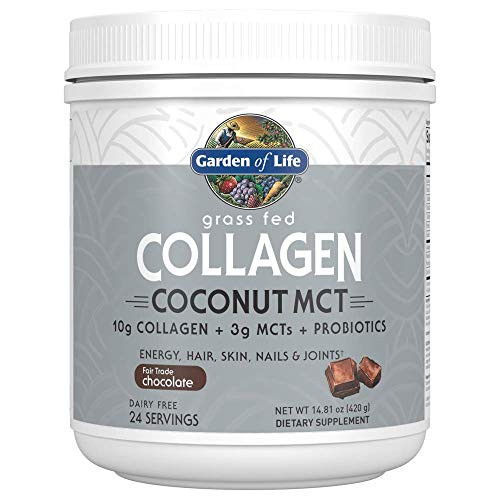 Garden of Life Grass Fed Collagen Coconut MCT Powder - Chocolate 24 Servings Collagen Peptides Powder for Energy Hair Skin Nails Joints Coconut MCTs Probiotics Collagen Protein Powder Supplement Garden of Life Grass Fed Collagen Coconut MCT Powder - Chocolate 24 Servings Collagen Peptides Powder for Energy Hair Skin Nails Joints Coconut MCTs Probiotics Collagen Protein Powder Supplement