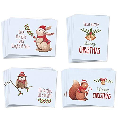 48 Christmas Greeting Cards Assortment of 4 Cute Woodland Animals Holiday Designs Set with Envelopes Included 48 Pack of Premium Mixed Assorted Boxed Notecards Excellent Value by Digibuddha