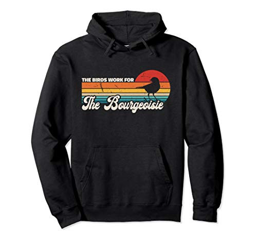Conspiracy Theory The Birds Work For The Bourgeoisie Pullover Hoodie