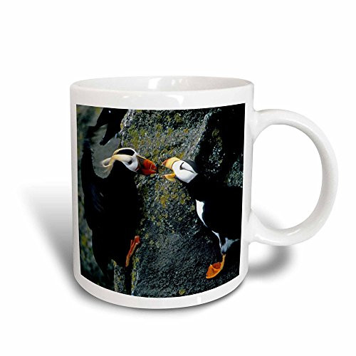3dRose mug_87344_3"Alaska, Pribilof Islands Puffin Birds, Cliffside - US02 BJA0099 - Jaynes Gallery" Magic Transforming Mug, Black/White, 11 oz