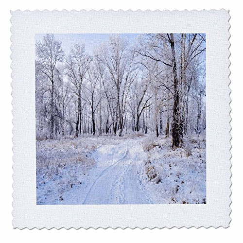 3dRose qs-97824-10 Snowy Winter Road-Quilt Square 25 by 25-Inch