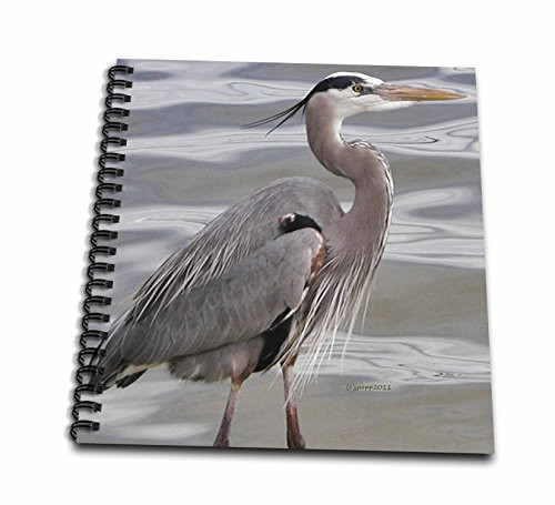 3dRose db-19132-2 Great Blue Heron Memory Book 12 by 12-Inch