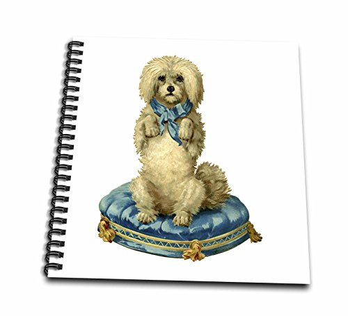 3dRose db-60805-2 Poodle on a Blue Pillow Memory Book 12 by 12-Inch