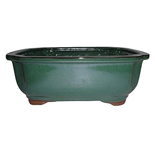Brussels 10 Lotus Bonsai Glazed Ceramic Pot Large Forest Green