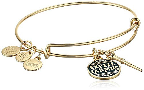 Alex and Ani Harry Potter Duo Bangle Bracelet GoldExpelliarmos One Size Shiny Gold AS20EBHP03SG