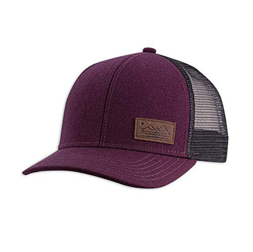 pistil Mens Dean Trucker Hat Raisin One Size