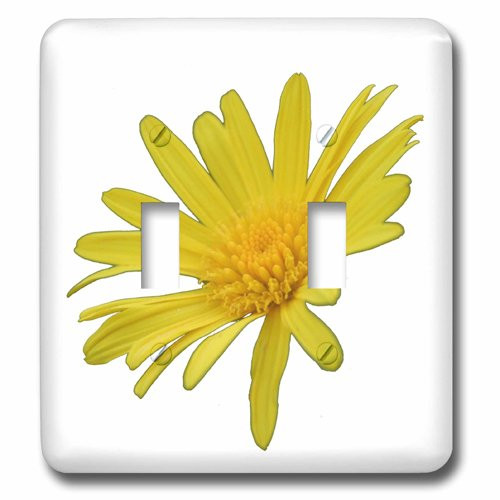 3dRose LSP_167502_2 Flower Bring On Summer with Beautiful Yellow Colored Daisy Toggle Switch