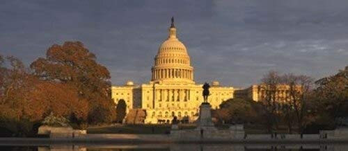 Pond in front of a government building Capitol Building Washington DC USA Poster Print 30 x 14 Pond in front of a government building Capitol Building Washington DC USA Poster Print 30 x 14