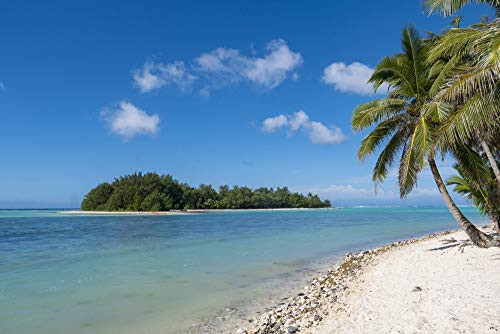 Posterazzi PDDOC14DPB0108 Muri Beach_ Rarotonga Cook Islands Photo Print 18 x 24 Multi Posterazzi PDDOC14DPB0108 Muri Beach_ Rarotonga Cook Islands Photo Print 18 x 24 Multi