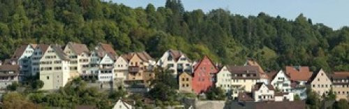 Buildings in a city Horb am Neckar Northern Black Forest Region Baden-Wurttemberg Germany Poster Print 36 x 12