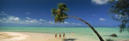 Posterazzi PPI137169L Palm Tree Extended Over The Beach Aitutaki Cook Islands Poster Print 36 x 12 Varies Posterazzi PPI137169L Palm Tree Extended Over The Beach Aitutaki Cook Islands Poster Print 36 x 12 Varies