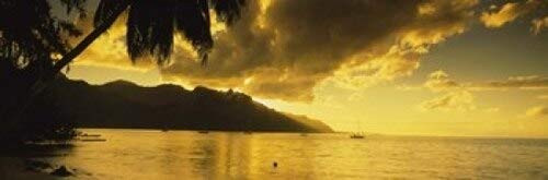 Posterazzi Silhouette Of Palm Trees At Dusk Cooks Bay Moorea French Polynesia Poster Print 36 x 12