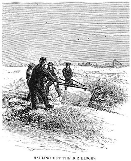 Cutting Ice 1870 Nhauling Out Ice Blocks On A Lake In Minnesota Wood Engraving American 1870 Poster Print by 18 x 24 Cutting Ice 1870 Nhauling Out Ice Blocks On A Lake In Minnesota Wood Engraving American 1870 Poster Print by 18 x 24