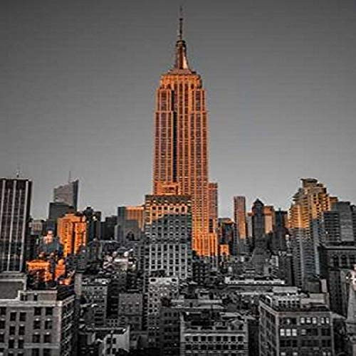Posterazzi PDXAF201311181123C06LARGE Empire State Building with New York City Manhattan skyline with skyscrapers Poster Print by Assaf Frank 18 x 24 Posterazzi PDXAF201311181123C06LARGE Empire State Building with New York City Manhattan skyline with skyscrapers Poster Print by Assaf Frank 18 x 24