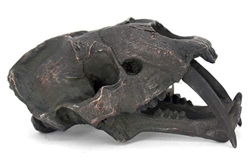 Contrast Sabertooth Tiger Fossil Head Figurine Dinosaur Statue