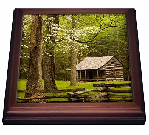 3dRose Tennessee Great Smoky Mountain NP Cades Cove cabin US11 JWL0271 Joanne Wells Trivet with Ceramic Tile 8 x 8 Brown