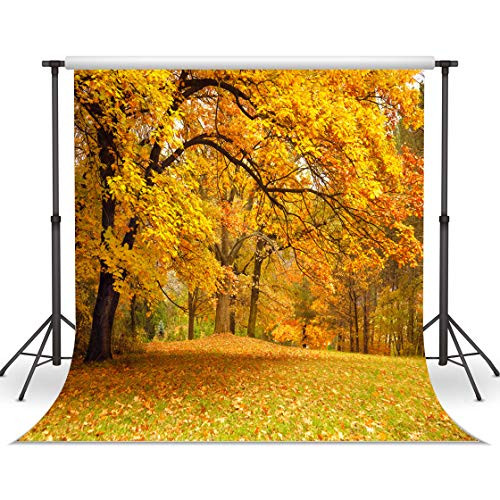 LYWYGG 8x8ft Yellow Leaves Filled with Trees Autumn Scenery Vinyl Fall Photography Backdrops Studio Background Photo Backdrops Studio Props CP-63-0808 LYWYGG 8x8ft Yellow Leaves Filled with Trees Autumn Scenery Vinyl Fall Photography Backdrops Studio Background Photo Backdrops Studio Props CP-63-0808