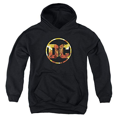 Flash DC Comics Logo Kids Youth Pullover Hoodie   Stickers Medium