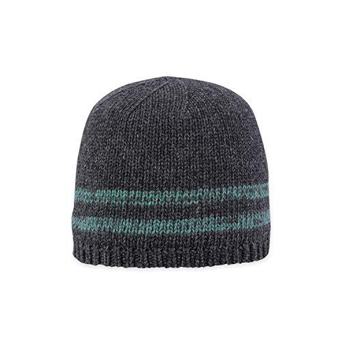 pistil Mens Elroy Beanie One Size Ash